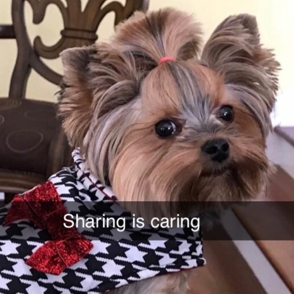 FULL PLEASE LIKE NEW LISTING - Picture 8 of 10